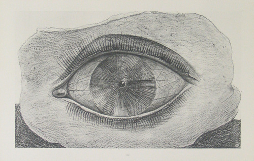 Max Ernst La Roue
