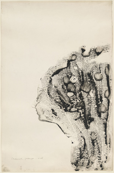 Marcel Jean. Untitled (Woman’s Profile). 1936. Decalcomania (ink transfer) on paper. Saidie A. May Fund. © 2012 / Artists Rights Society (ARS), New York / ADAGP, Paris