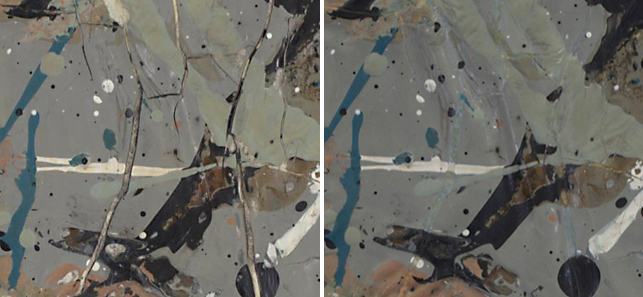 Pollock Conservation detail 4