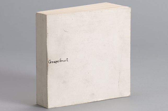 Yoko Ono Grapefruit