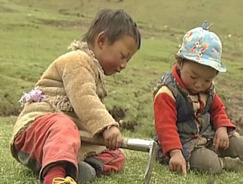 Yartsa Rinpoche (Precious Caterpillar). 2013. China/France. Directed by Dorje Tsering Chenaktsang. Courtesy of the filmmaker and Trace Foundation