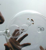 Susana Soares
Design Interactions Department, Royal College of Art
BEE'S project. Prototype. 2007