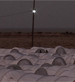 <em>Babylon</em>. 2012. Tunisia. Directed by Ala Eddine Slim, ismaël, Youssef Chebbi. Courtesy Exit Production