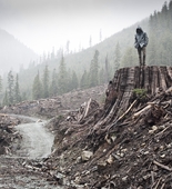 <i>If a Tree Falls: A Story of the Earth Liberation Front</i>. 2011. USA. Directed by Marshall Curry