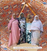 Robin Kahn. <i>La Cooperativa Union Nacional Mujeres Saharauis</i>. 2012. Collage on paper, 20 x 14". dOCUMENTA(13) catalog. Commissioned by  dOCUMENTA(13)