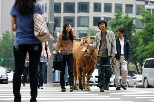 <i>Rolling Home with a Bull.</i> 2010. South Korea. Directed by Im Soon-rye