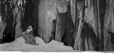 Ansel Adams. <i>Lake and Cliffs, Sierra Nevada</i>. 1932, print 1934. 7 1/8 x 9 3/8" (18.1 x 23.8 cm). Shaklee Corporation. Copyright 2001 by the Trustees of The Ansel Adams Publishing Rights Trust. Used with permission. All rights reserved