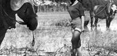 <i>Bitter Rice.</i> 1949. Italy. Directed by Giuseppe De Santis