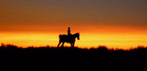 <i>Reel Injun.</i> 2009. Canada. Directed by Neil Diamond. &copy 2010 Rezolution Pictures/National Film Board of Canada