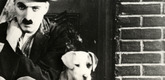 <i>A Dog's Life.</i> 1918.  USA.  Directed by Charles Chaplin