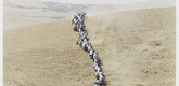 Francis Alÿs. Untitled, from <i>When Faith Moves Mountains.</i> 2002. Color photograph. The Museum of Modern Art, New York. Gift of The Speyer Family Foundation, Kathy and Richard S. Fuld, Jr., Marie-Josée and Henry R. Kravis, Patricia Phelps de Cisneros, Anna Marie and Robert F. Shapiro, The Julia Stoschek Foundation, Düsseldorf, and Committee on Media Funds. © 2011 Francis Alÿs