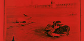 Runa Islam. <i>Emergence.</i> 2011. 35mm film (color, silent), 2:54 min. Commissioned by The Museum of Modern Art, New York, for The Elaine Dannheisser Projects Series. Courtesy the artist and White Cube, London