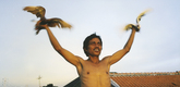 <i>Position Among the Stars.</i> 2010. The Netherlands. Directed by Leonard Retel Helmrich