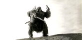 A still from the film <em>Zumba</em> (1949) which appears in <em>The Movie Orgy</em>. Pictured:  Jane Nigh and Crash Corrigan (in the gorilla suit). Image courtesy of Renfield Productions.