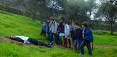 <i>The Strange Case of Angelica.</i> 2010. Portugal/Spain/France/Brazil. Directed by Manoel de Oliveira