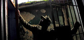 <i>The Redemption of General Butt Naked</i>. 2011. USA. Directed by Daniele Anastasion, Eric Strauss. Pictured: Joshua Blahyi. Image courtesy of Ryan Lobo