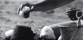 Snowballs and Sandcastles. 1989. Canada. Directed by Bill Maylone. Courtesy Bullfrog Films