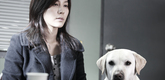 <i>Beul-la-in-deu (Blind)</i>. 2011. South Korea. Directed by Ahn Sang-hoon