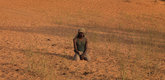 <i>The Double Steps.</i> 2011. Spain/Switzerland. Directed by Isaki Lacuesta