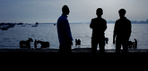 <em>Bahari</em>. 2011. Egypt. Directed by Ahmed Ghoneimy. Courtesy the filmmaker