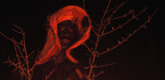 <em>Jajouka, Something Good Comes to You</em>. 2012. Morocco/France. Directed by Eric and Marc Hurtado. Courtesy Atopic