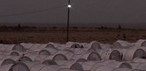 <em>Babylon</em>. 2012. Tunisia. Directed by Ala Eddine Slim, ismaël, Youssef Chebbi. Courtesy Exit Production