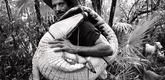 <i>Monteros</i>. 2006. Directed by Alejandro Ramírez Anderson