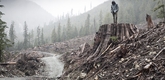 <i>If a Tree Falls: A Story of the Earth Liberation Front</i>. 2011. USA. Directed by Marshall Curry
