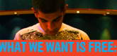 Cover of What We Want Is Free: Critical Exchanges in Recent Art. Cover Design: Nancy Nowacek, Photograph: Cesare Pietroiusti