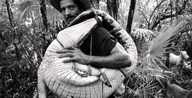 <i>Monteros</i>. 2006. Directed by Alejandro Ramírez Anderson