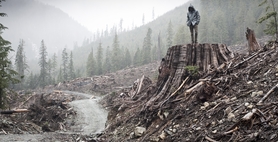 <i>If a Tree Falls: A Story of the Earth Liberation Front</i>. 2011. USA. Directed by Marshall Curry