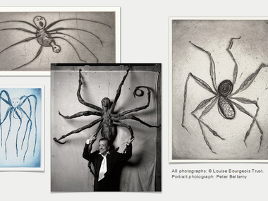 Screenshot from <i>Louise Bourgeois: The Complete Prints & Books</i>