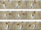 Robin Rhode. <i>Stone Flag</i>. 2004. Nine chromogenic color prints, each 12 1/16 x 18 1/16" (30.6 x 45.8 cm). The Museum of Modern Art, New York. Fund for the Twenty-First Century. &copy; 2005 Robin Rhode