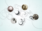 Interactives: Screenshot from <i>Wunderkammer a Century of Curiosities</i>, 2008