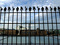 Matthias Megyeri
Peter Pin, R. Bunnit, and Didoo Railings from the Sweet Dreams Security series
2003