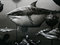 Simón Vladimir Varela
Sharks
Finding Nemo, 2003
