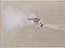 Vija Celmins. Gun with Hand #1. 1964