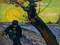 Vincent van Gogh. The Sower. 1888
