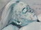Marlene Dumas. Dead Marilyn. 2008