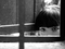 <i>The Milk of Sorrow</i> / <i>La teta asustada</i>. 2008. Spain/Peru. Claudia Llosa
