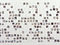 30362