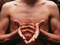 Gabriel Orozco.  My Hands Are My Heart.  GOEY14ps2