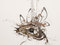 Lee Bontecou. Untitled. 1980&ndash;98. Welded steel, porcelain, wire mesh, canvas, wire, and grommets, 7 x 8 x 6' (213.4 x 243.8 x 182.9 cm). The Museum of Modern Art, New York. Gift of Philip Johnson (by exchange) and the Nina and Gordon Bunshaft Bequest Fund. &copy; 2010 Lee Bontecou