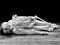 Marina Abramović. <i>Nude with Skeleton.</i> 2002-05. Black-and-white photograph. 50 x 80¼" (125 x 145 cm). © 2010 Marina Abramović. Courtesy the artist and Sean Kelly Gallery/Artists Rights Society (ARS), New York. Reperformed continuously in shifts throughout the exhibition Marina Abramović: The Artist Is Present at MoMA, March 14-May 31, 2010.