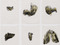 Portfolio of nine screenprint and monotypes with ink additions on mold made T.H Saunders paper<br />
Composition: various dimensions<br />
Sheet: each 21 15/16 x 16 15/16" (55.7 x 43 cm)<br />
Publsiher: Fawbush Editions, New York / Printer: the artist / Edition: 15<br />
The Museum of Modern Art, New York. Richard A Epstein Fund, 1986<br />
©Kiki Smith
