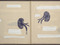 Book of twenty photolithographs on handmade Nepalese paper with collaged photolithographed text on machine made paper; and two photogravures with handmade Japanese paper overlay on front and back covers<br />
Page: 20 1/2 x 19 1/2" (52.1 x 49.5 cm)<br />
Publisher and printer: Universal Limited Edition. West Islip, New York<br />
Edition: 40<br />
The Museum of Modern Art, New York. Gift of Emily Fisher Landau, 1997<br />
©Kiki Smith