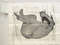 Photogravure, etching, and sanding on handmade Japanese paper, folded and mounted into cardboard folder<br />
Plate: 27 3/16 x 35 1/2" (69 x 90.2 cm)<br />
Sheet (unfolded): 33 1/2 x 42 1/16" (85 x 106.8 cm)<br />
Folder (closed): 9 1/8 x 5 3/4" (23.2 x 14.6 cm)<br />
Publisher and printer: Universal Limited Art Editions, West Islip,New York<br />
Edition: 40<br />
The Museum of Modern Art, New York. Gift of Emily Fisher Landau, 1995<br />
©Kiki Smith