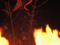 <em>Jajouka, Something Good Comes to You</em>. 2012. Morocco/France. Directed by Eric and Marc Hurtado. Courtesy Atopic