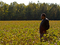 <i>Homegoings</i>. 2013. USA. Directed by Christine Turner