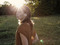 <i>The Meteor</i>. 2013. Canada. Directed by Francois Delisle